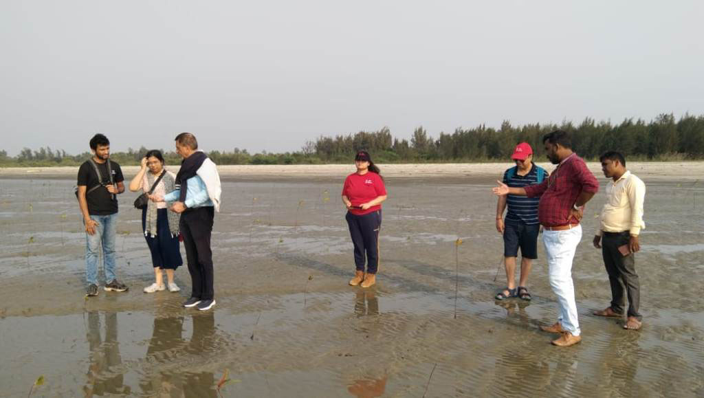  Demonstration of the plantation project